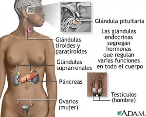 pituita1
