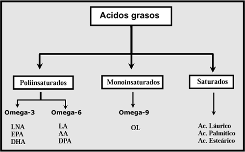 dha6