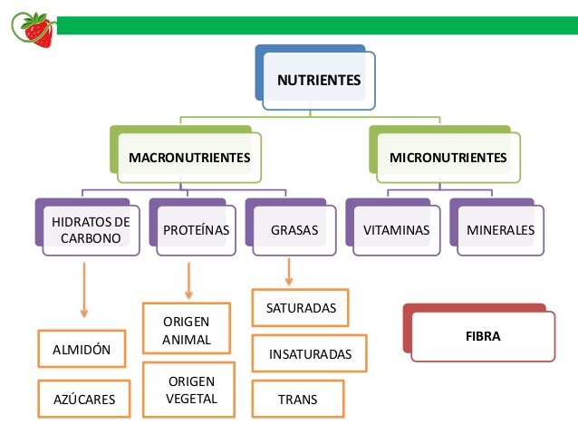 cmo-interpretar-el-etiquetado-de-los-alimentos-7-638